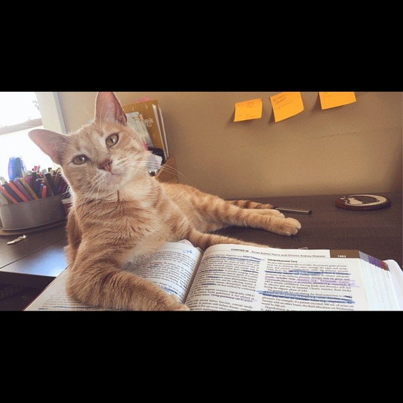 Meet your Posher, Taylor - Picture 7 of 8